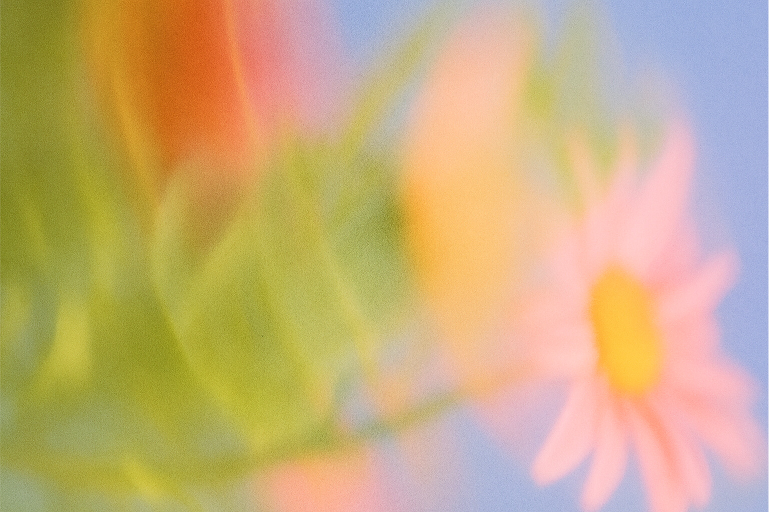 How to Build a Knowledge Base in Zoom Docs