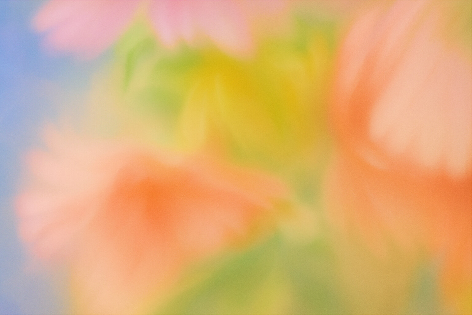 The Best Meeting Templates to Boost Productivity