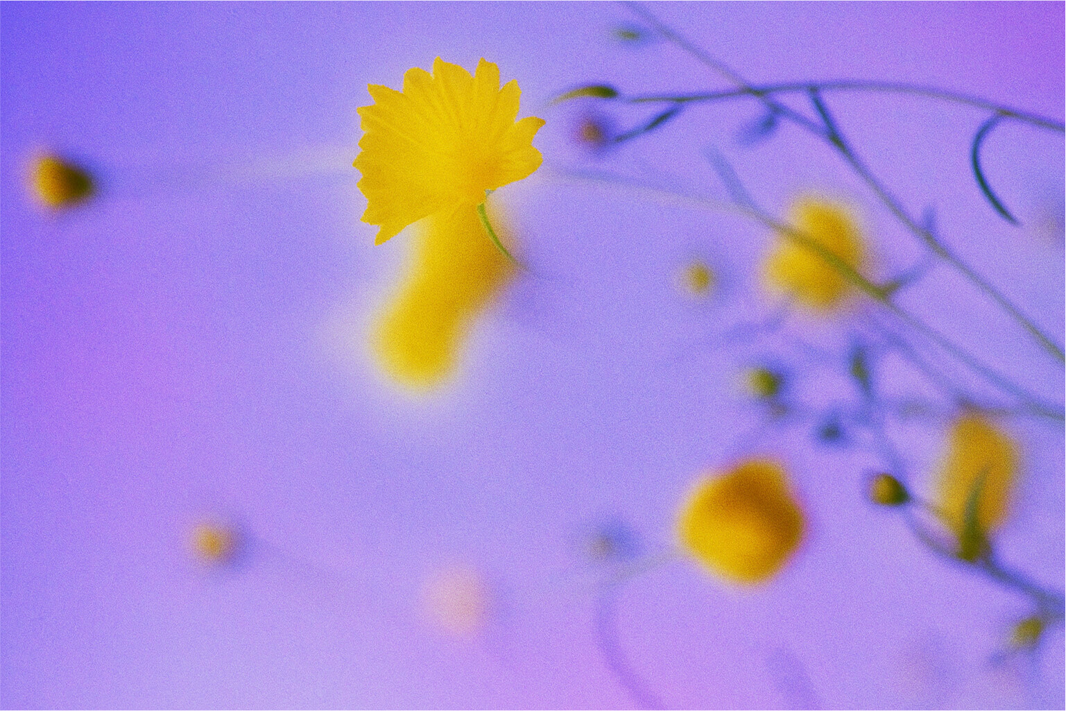 Templates Every Product Manager Needs in Their Toolkit